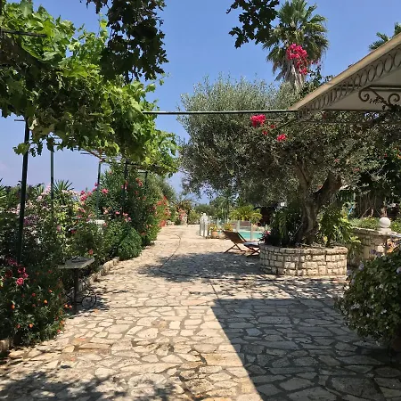 Silver Olives Corfu Kounavadhes
